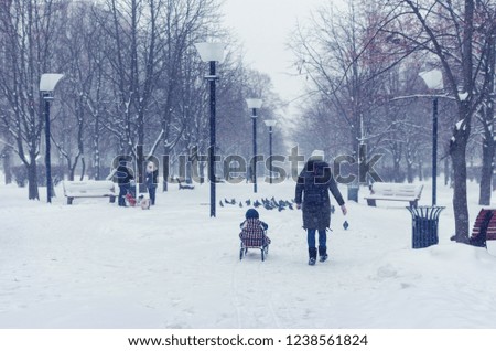 Mom pulls daughter on sled in winter park in snowfall.