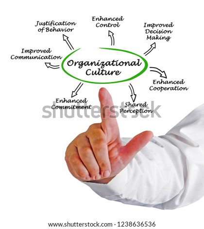 Functions of Organizational Culture