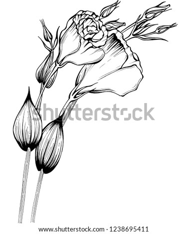 drawing flowers with leaves pattern floral