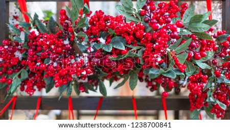 Christmas background with red berries of viburnum, holly, rowan