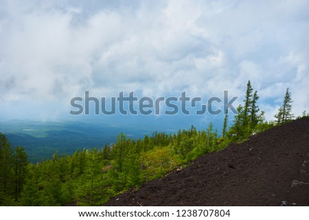 View from mount fujiyama onto a forest