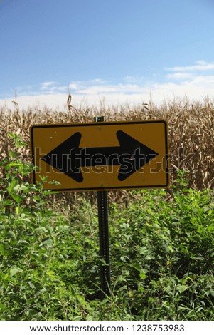 Go left or go right, but don't go into the cornfield, says this yellow highway sign found on the border of a cornfield in Illinois, almost buried in the weeds