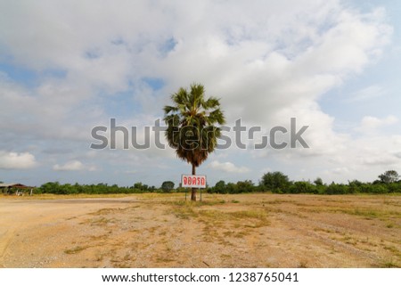 parking lot sign in Thai language on Palmyra palm