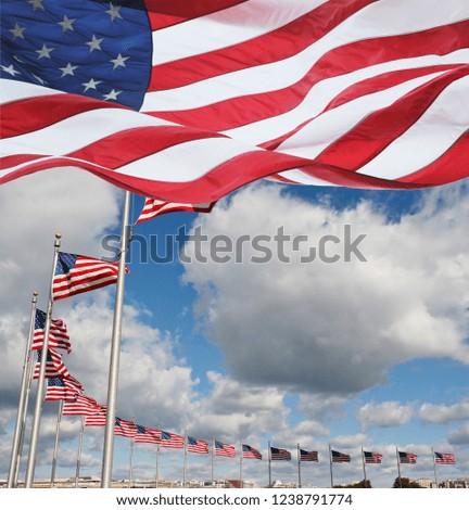 American Flags Fluttering in the Air