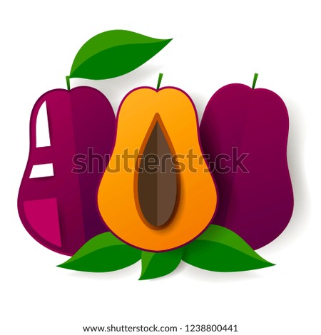 Fresh juicy plum. Perfect for juice or jam. Vector illustration