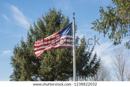 American Flag blowing in the wind with greenery under a blue sky with clouds.
