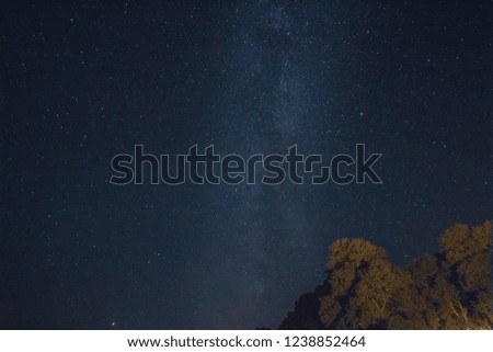 Nebula of the Milky Way in the night sky above the pines
