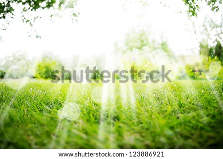 Background with Green Summer Landscape Royalty-Free Stock Photo #123886921