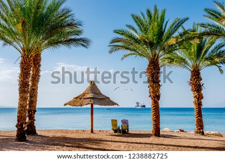 Resting coastal area in Eilat - famous tourist resort and recreation city in Israel and Middle East Royalty-Free Stock Photo #1238882725