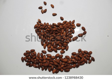 nice brown seeds of almonds nice for bite or made dessert or nice decoration for holiday