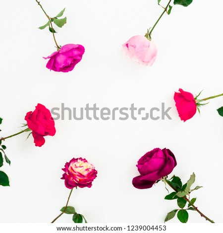 Spring time frame background. Floral composition of pastel pink roses flowers on white background. Flat lay, top view.