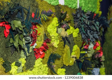 picture of decorative moss and green and red leaves. Shallow DOF