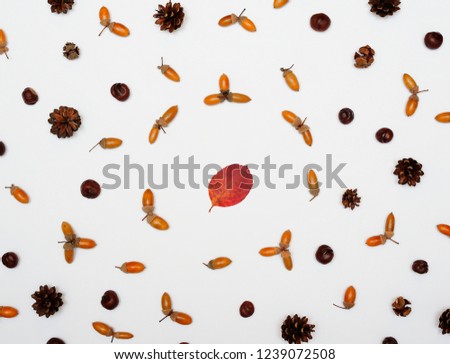 Seamless pattern from acorns, leaves, chestnuts and cones, isolated on white background, flat lay, top view. The concept of autumn, end of summer
