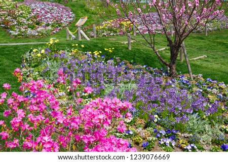 Colorful Spring garden