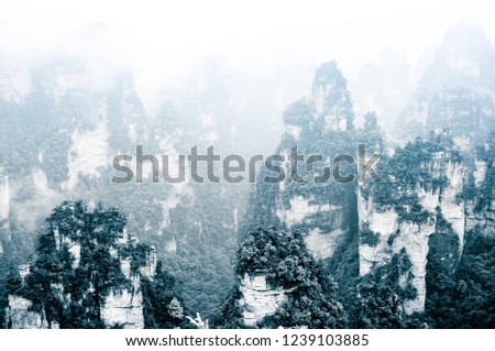Zhangjiajie, hunan, China, Asia, beautiful natural scenery with clouds and fog