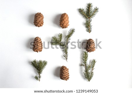 twigs of fir tree tied with a ribbon isolated on white background