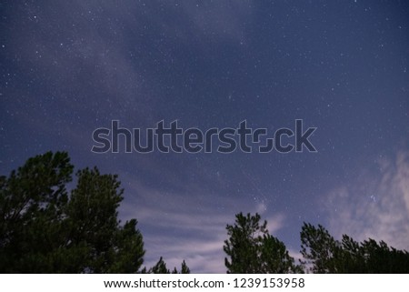stargazing at the night sky in Bancroft Louisiana