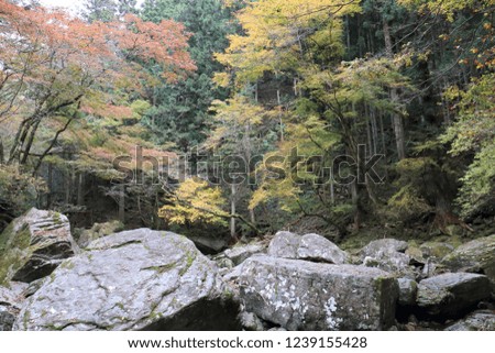 A landscape of Akame 48 Falls in Mie prefecture in Japan