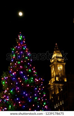 Christmas Tree, Full Moon, and Custom House, Boston, MA