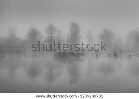 river and trees on a foggy autumn morning. Monochrome image.