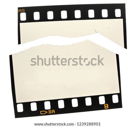 severed photo film frame, 35mm analogue  border on white