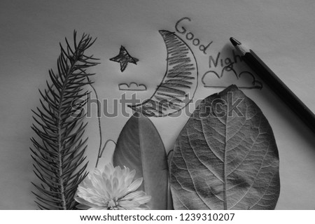Night landscape moon Crescent and forest. Creative background