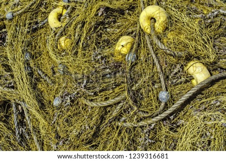 Sea drift net which dries in the summer sun.