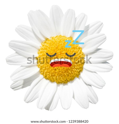 Cartoon Emoji Daisy Flower Character Illustration. Set of Emoticon for Summer Daisy Garden.