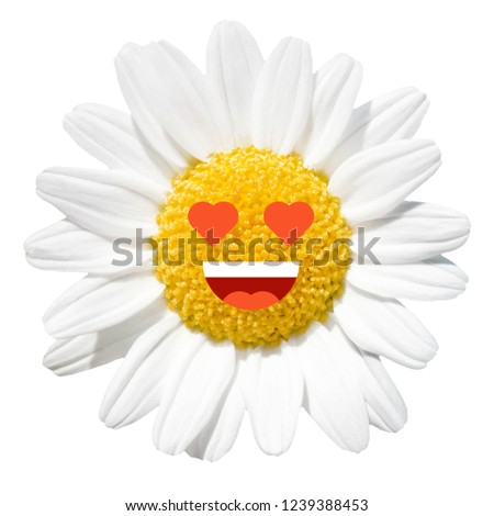 Cartoon Emoji Daisy Flower Character Illustration. Set of Emoticon for Summer Daisy Garden.