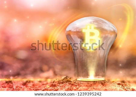 Bitcoin sign concept with copy space. Bitcoin logo inside light bulb growing out of ground. Autumn background.