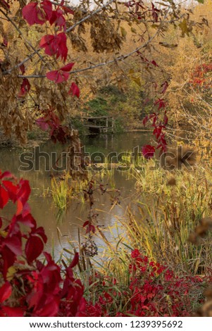 River, autumn forest Royalty-Free Stock Photo #1239395692
