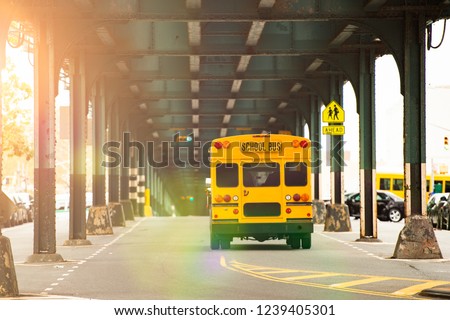 A school bus is passing under the railway bridge in the Bronx, New York city, USA.