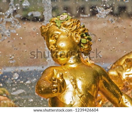 Closeup of gold cherub statue in an antique fountain at Versailles, France, fast shutter speed; very shallow depth of field.