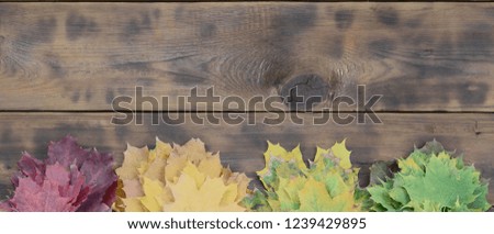 Composition of many yellowing fallen autumn leaves on a background surface of natural wooden boards of dark brown color