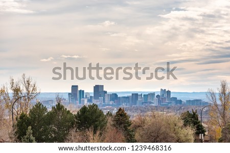 View of Downtown Denver Through Residential Area Trees