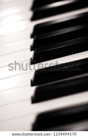 piano keyboard close up