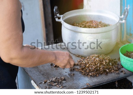 Fried insects, Bugs fried on Street food in thailand