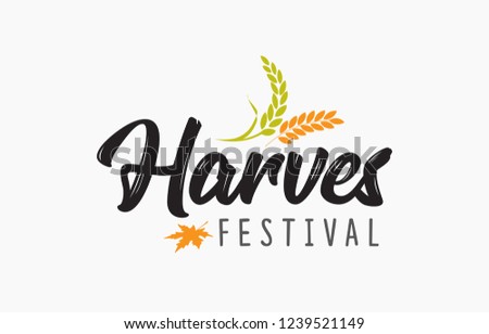 Autumn Harvest Festival. Hand sketched autumn lettering Harvest Festival with wheat and leaf. Modern calligraphy. Handwritten vector illustration on white background for cards, posters, banner