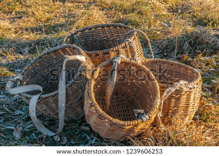 Wicker baskets handmade on autumn grass. Russia