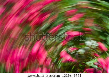 Impression with red flowers. The camera made a rotating motion while taking the picture. Background photo