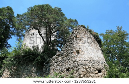 Old castle ruin at Lake Constance in south germany