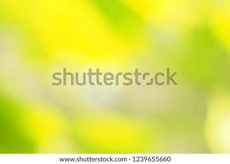 Beautiful blurred focus of fresh tropical green and yellow leaves in the morning for natural and shiny warm background