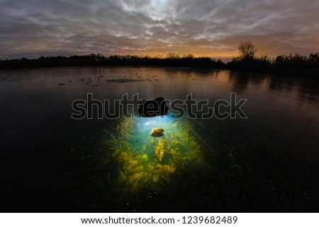 Lamp which illuminating underwater plant under the ice at the background of winter night landscape with frozen lake