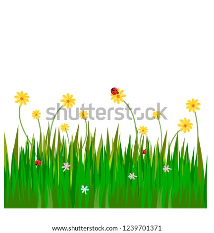 Garden flower and grass field vector, Dragonfly and Ladybug.