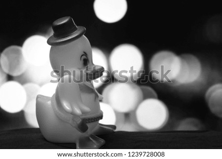 Cute Hat Toy Duck isolated in different bokeh background with copy space