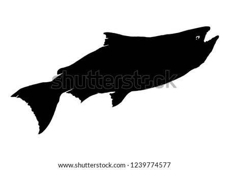 vintage fly fish,drawing animal,vector