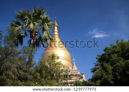 Low angle view on golden isolated dome of pagoda against blue sky framed by trees and palm tree -  Bagan, Myanmar