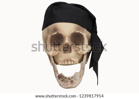  human skull in a black bandana