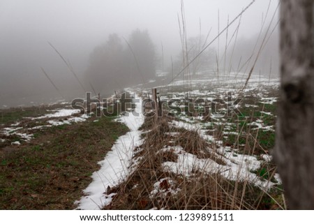 Mystical foggy street thuringian forest winter