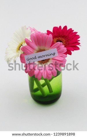 Good morning card with three colorful gerbera daisies in transparent green glass on white background
